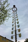 maibaum-gesamt