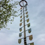 Maibaum Gesamt